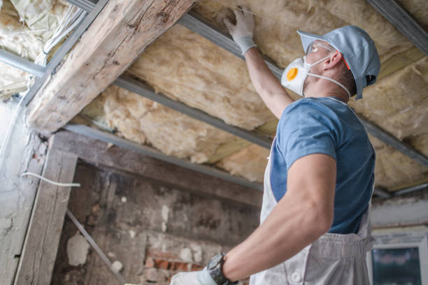 Best Cellulose Insulation in Montesano, WA